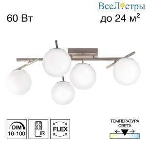 Потолочная люстра Citilux Dorsy CL223151