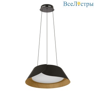 Подвесной светильник Loft IT Lane 10370P Black