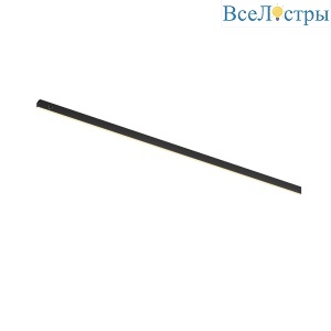 Трековый магнитный светильник Maytoni Basis TR190-1-10W2.7K-B