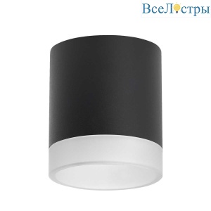 Потолочный светильник Lightstar Rullo (213487+202480) R348780