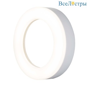 Уличный настенный светодиодный светильник Elektrostandard LTB52 Led белый 4690389150746