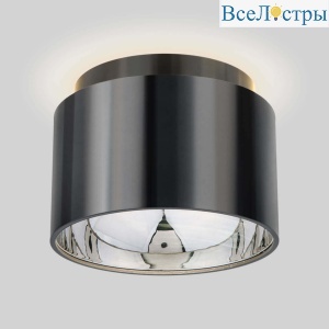 Потолочный светильник Elektrostandard Charlie 1069 GX53 GR черный жемчуг 4690389167805