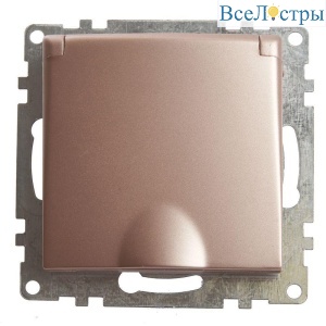 Розетка 2P+PE Stekker Катрин со шторками крышкой шампань GLS16-7112-02 39594
