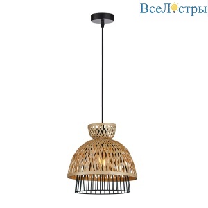 Подвесной светильник Arte Lamp Woodstock A7070SP-1BK
