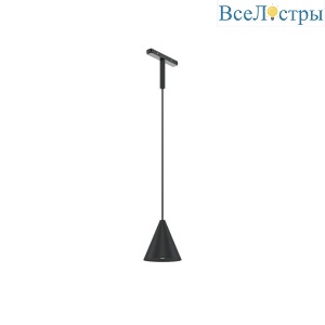 Трековый подвесной светильник Maytoni Technical TR182-1-5WTW-M-B