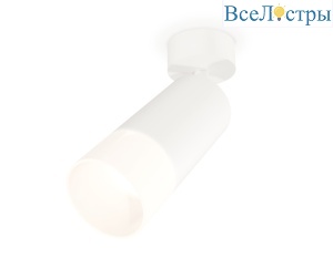 Спот Ambrella Light Techno Spot XM6322012 (A2202, C6322, N6252)