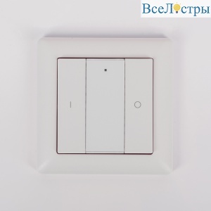 Настенная радиопанель SWG ES-B-W-K2-Z1 013295