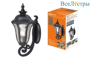 Уличный настенный светильник TDM Electric Вена SQ0330-0204