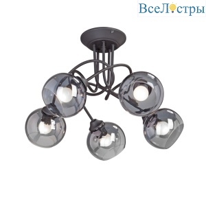 Потолочная люстра Vitaluce V4309-1/5PL