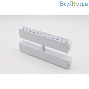 Трековый магнитный светильник Aployt Magnetic track 220 APL.0202.10.09