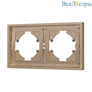 Рамка пластиковая на 2 поста Arlight FRM-TENDO-PL-2-GD 053842