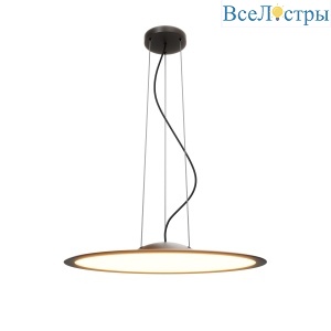 Подвесной светильник Maytoni Industria MOD471PL-L57BK
