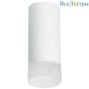 Накладной светильник Lightstar Rullo R648681 (216486+202481)