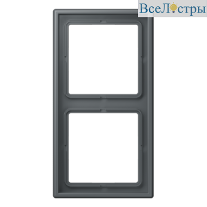 Рамка двухместная Jung LC982202