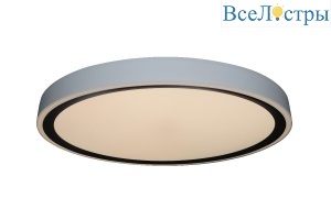 Потолочный светильник Zortes Bella ZRS.1201.11