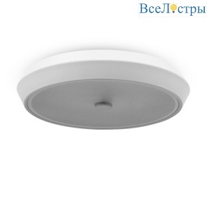 Потолочный светодиодный светильник Freya Cells FR10012CL-L24W