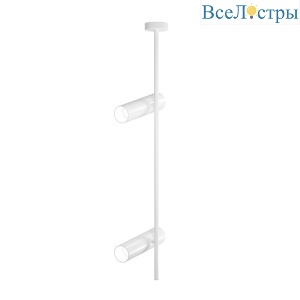 Подвесной светильник Maytoni Elti C021CL-02W