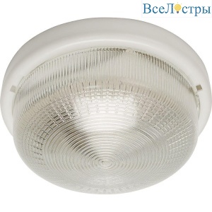 Настенно-потолочный светильник Feron НБО 05-100-001 41403