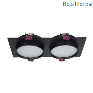 Встраиваемый светильник Favourite Vasto 4648-2C