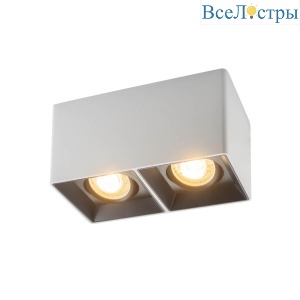 Накладной светильник Denkirs DK3035-WB