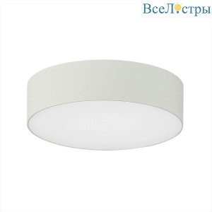 Накладной светильник Citilux Тао CL712120N