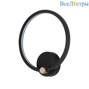 Настенный светильник Arte Lamp Errai A2195AP-1BK