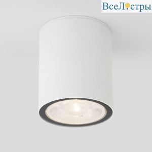 Уличный светодиодный светильник Elektrostandard Light 35131/H белый 4690389176579