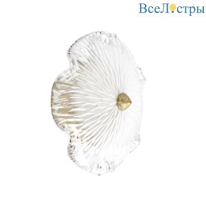 Настенный светильник Loft IT Bloom 10352W/B AB