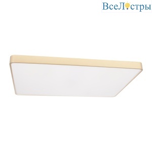 Потолочный светодиодный светильник Loft IT Flims 10228/E