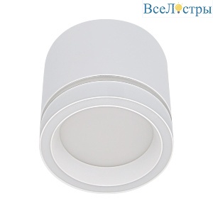 Накладной светильник Reluce 53003-9.5-001LD GX53 WT