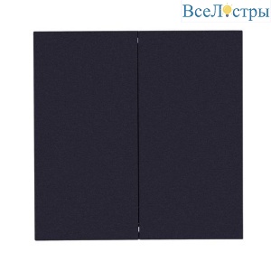 Выключатель двухклавишный Arte Lamp Smart A700106