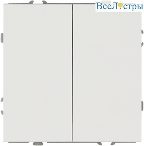 Выключатель Эра Galaxy 15-1104-08 двойной 10АХ-250В IP20 белый матовый Б0070665