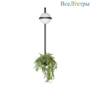Настенный светильник Loft IT Jardin 10121W/B