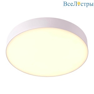 Накладной светильник Novotech Ornate 358109