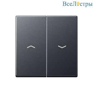 Клавиша выключателя жалюзи Jung A595BFPANM
