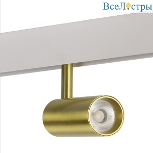 Трековый магнитный светильник AM Group MAGNET AM429 CX-B11-10W -3000K Copper