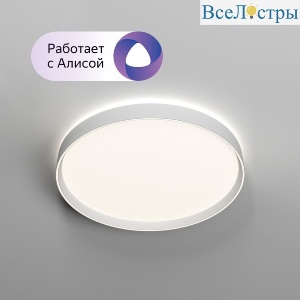 Потолочный светильник Denkirs Plato DK6511-WH/1