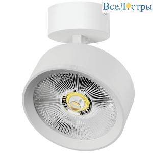 Накладной светильник Alta Pro Lightstar A5746SO