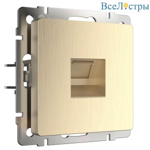 Розетка Ethernet RJ-45 Werkel шампань рифленый W1181010 4690389160608