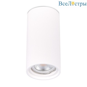 Потолочный светильник ST Luce ST155.502.01