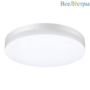 Уличный настенно-потолочный светильник Novotech Street 358889