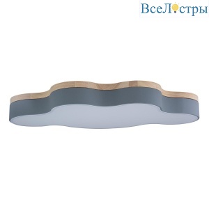 Потолочный светодиодный светильник Loft IT Axel 10005/36 grey