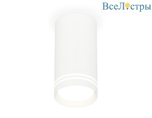 Потолочный светильник Ambrella Light Techno Spot XS8161007 (C8161, N8477)