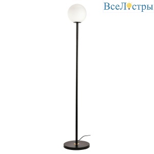 Торшер Lussole Cleburne LSP-0613