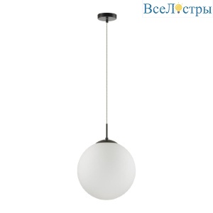Подвесной светильник Lumion Summer 6510/1A