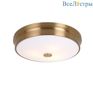 Потолочный светильник Favourite Pannikin 2375-3C