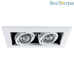 Встраиваемый светильник Arte Lamp Technika A5941PL-2WH
