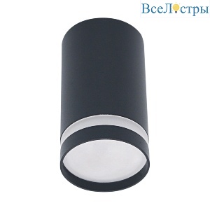 Накладной светильник Reluce 16001-9.5-001LD GU10 BK
