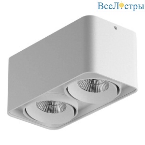 Накладной светильник Lightstar Monocco 212526