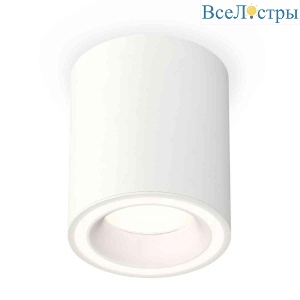 Комплект накладного светильника Ambrella light Techno Spot XS7421020 SWH белый песок (C7421, N7110)